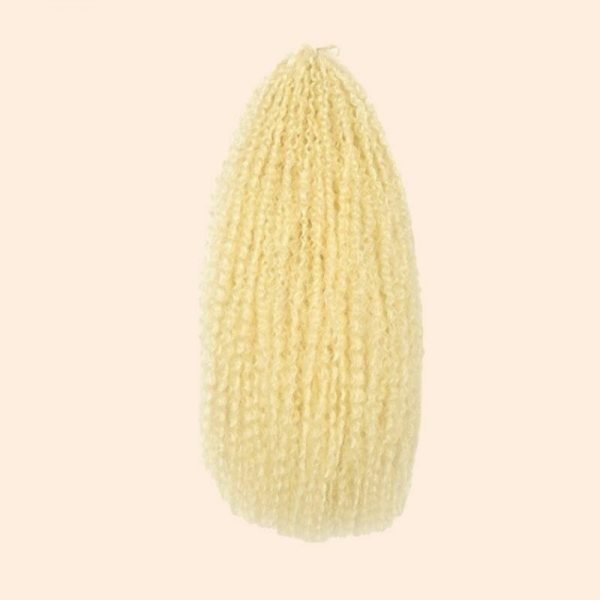 Best Value Kinky Curly Ombre Braid Hair Extension